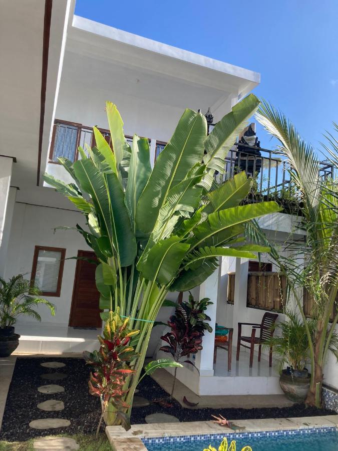 Iris Uluwatu
